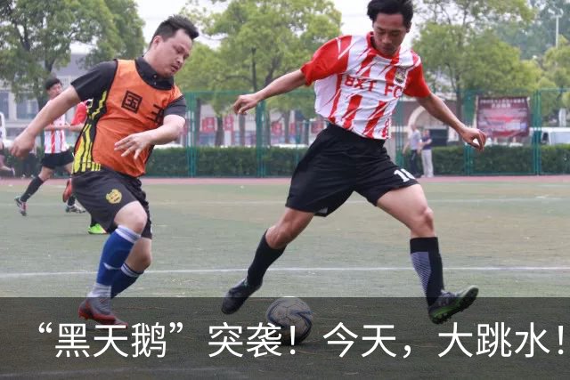 “黑天鹅”突袭！今天，大跳水！