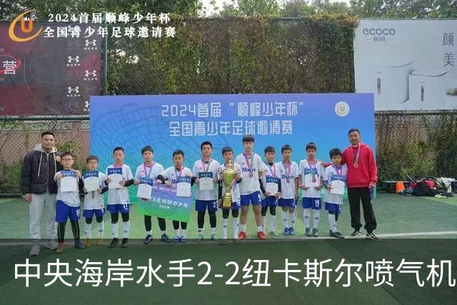 中央海岸水手2-2纽卡斯尔喷气机，拉瓦莱点射，帕特里克-伍德破门