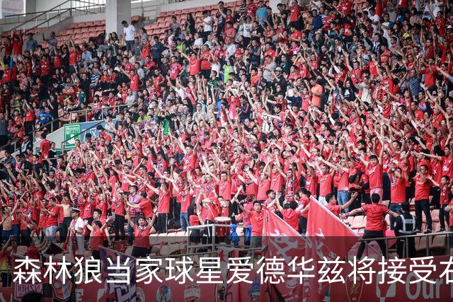 森林狼当家球星爱德华兹将接受右膝关节镜手术，预计伤停两个月，会对他的职业生涯有多大影响？球队阵容会如何调整？