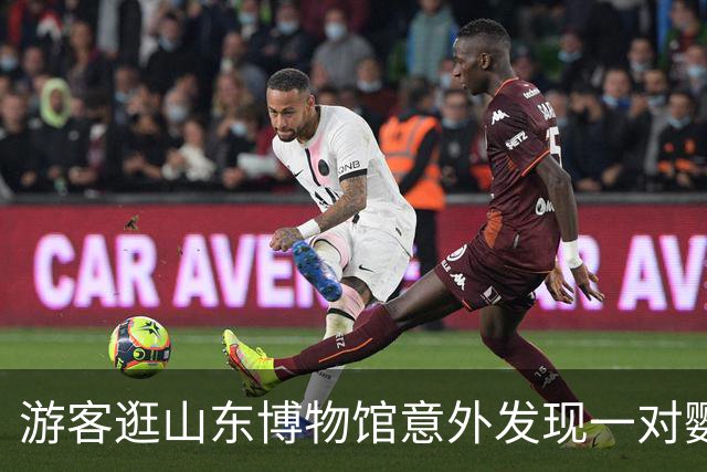 游客逛山东博物馆意外发现一对鹦鹉木雕神似奶龙，体态圆润颜色清澈，馆方：是旧时泰山旅店吸引香客的招幌