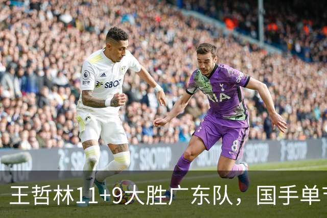 王哲林11+9大胜广东队，国手单节5记三分，核心外援12中1