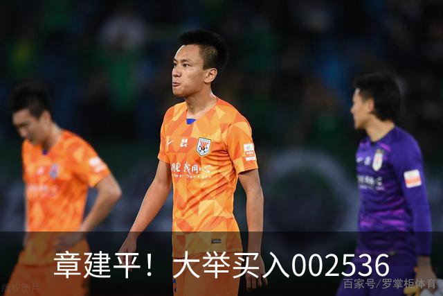 章建平！大举买入002536