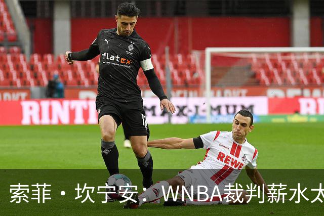 索菲·坎宁安：WNBA裁判薪水太低 如果能提高待遇 他们会更投入