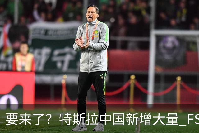 要来了？特斯拉中国新增大量 FSD 功能和图标