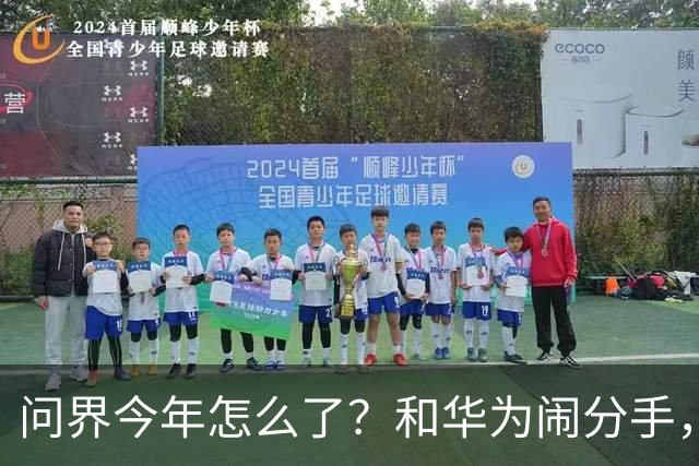 问界今年怎么了？和华为闹分手，出海弃用华为用博士，车主撞车起火！网友：今年不太顺
